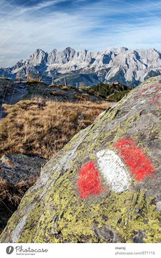 Da will ich noch rauf! ruhig Ferien & Urlaub & Reisen Tourismus Ausflug Abenteuer Freiheit Sommerurlaub Berge u. Gebirge wandern Natur Landschaft Schönes Wetter