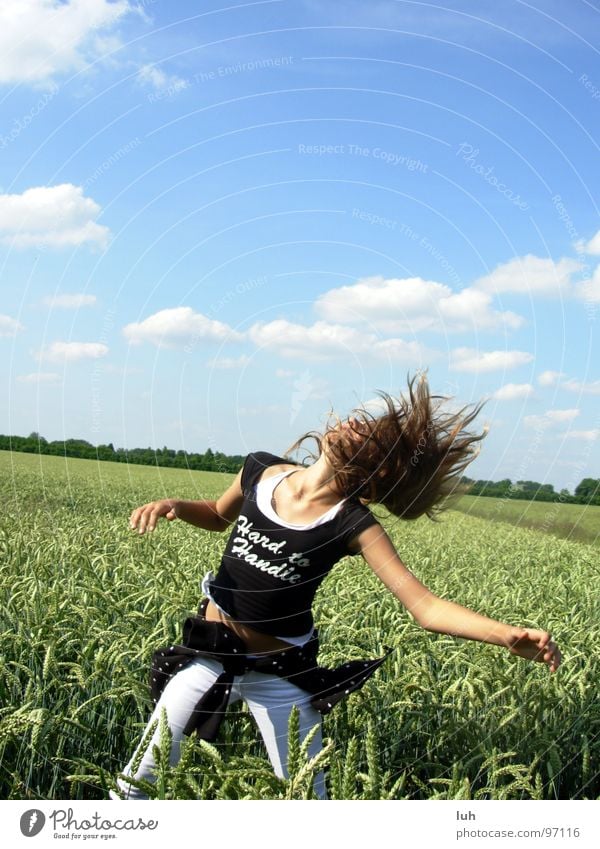 WOW; was kommt da von oben?! Wolken himmelblau Tier Insekt abrupt wo Feld grün Weizen groß mehrfarbig erschrecken UFO Untertasse drehen Schwung Ferne Himmel