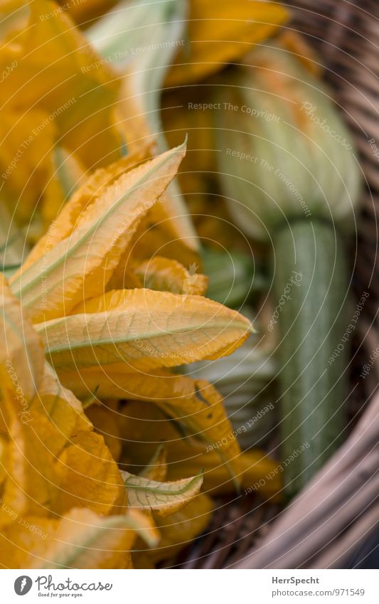 Fiori di zucca Lebensmittel Gemüse Italienische Küche Sommer Pflanze Nutzpflanze frisch Gesundheit lecker gelb grün Weidenkorb Zucchini Zucchiniblüte Markt