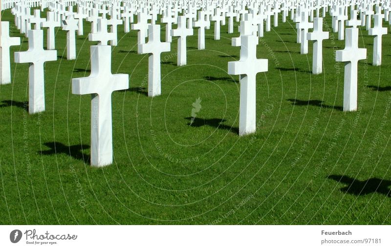 Regelmäßigkeit des Wahnsinns 1 Farbfoto Außenaufnahme Menschenleer Schatten Kontrast Erde Gras Denkmal Zeichen Kreuz Unendlichkeit historisch grün weiß Macht