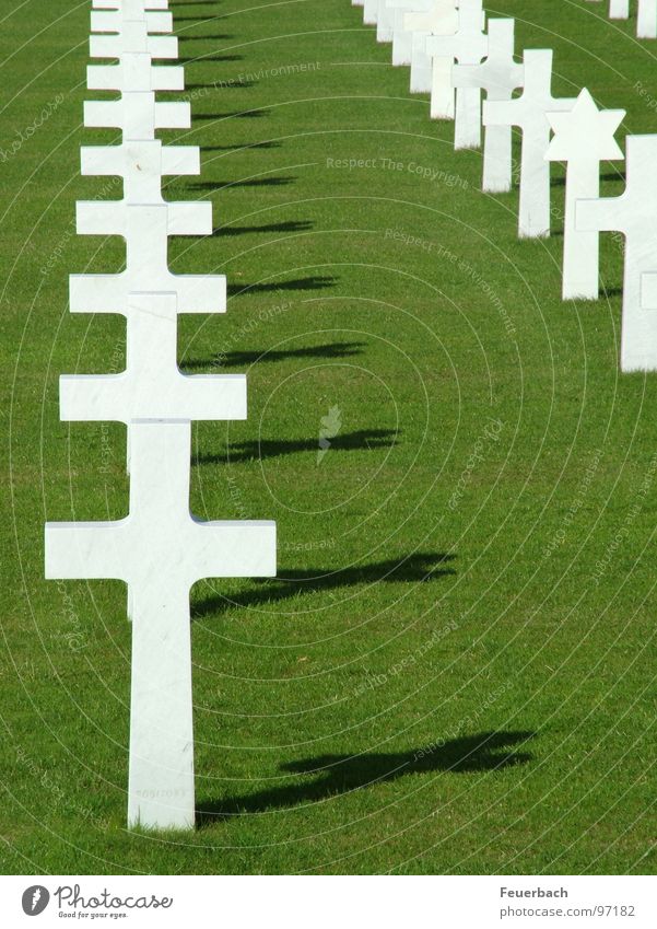 Regelmäßigkeit des Wahnsinns 2 Farbfoto Außenaufnahme Menschenleer Schatten Kontrast Gras Denkmal Zeichen Kreuz Unendlichkeit grün weiß Macht Trauer Tod Schmerz