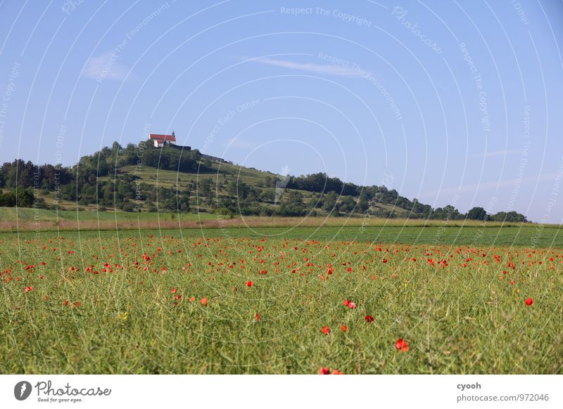 im Ländle Natur Landschaft Feld Hügel fest Freundlichkeit historisch schön oben rot Senior Farbe Freizeit & Hobby Idylle Kultur Nostalgie Zeit Kapelle