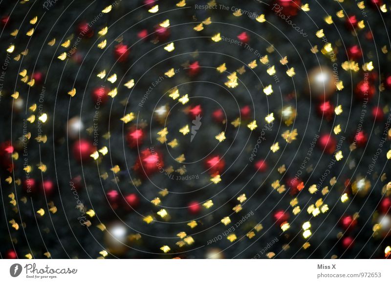 Schmetterling Weihnachten & Advent fliegen glänzend leuchten Weihnachtsbaum Weihnachtsbeleuchtung Schwarm Farbfoto mehrfarbig Experiment abstrakt Muster