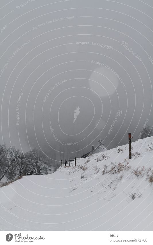 Stockwerk | Haus und Stock Natur Winter Klima schlechtes Wetter Nebel Eis Frost Schnee Schneefall Berge u. Gebirge Endzeitstimmung Winterstimmung Farbfoto