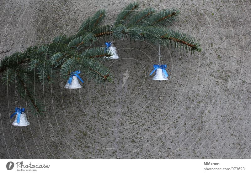 Der Countdown läuft Feste & Feiern Weihnachten & Advent Winter Zweig Ast Mauer Wand Beton grau grün friedlich Güte Menschlichkeit Glocke Schleife hängen Messer