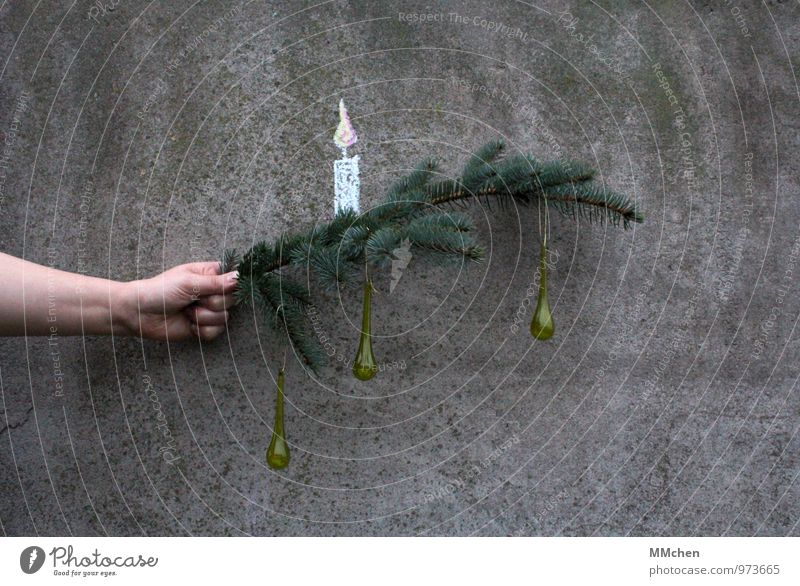 Advent, Advent Dekoration & Verzierung Feste & Feiern Weihnachten & Advent Hand Ast Zweig Zweige u. Äste Mauer Wand Beton festhalten hängen grau grün Vorfreude