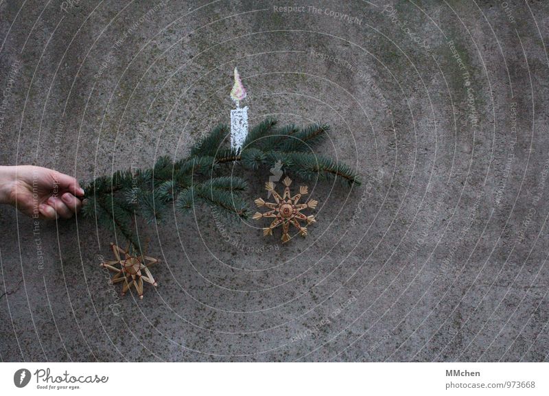 Laterne Feste & Feiern Weihnachten & Advent Hand Ast Zweig Tannennadel Tannenzweig Mauer Wand Dekoration & Verzierung Kerze Strohstern Stern (Symbol) Beton