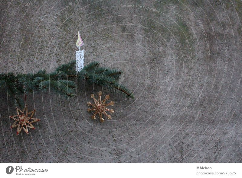 Bald geht`s wieder los Feste & Feiern Weihnachten & Advent Winter Beton leuchten warten Häusliches Leben stachelig Zufriedenheit Lebensfreude Vorfreude