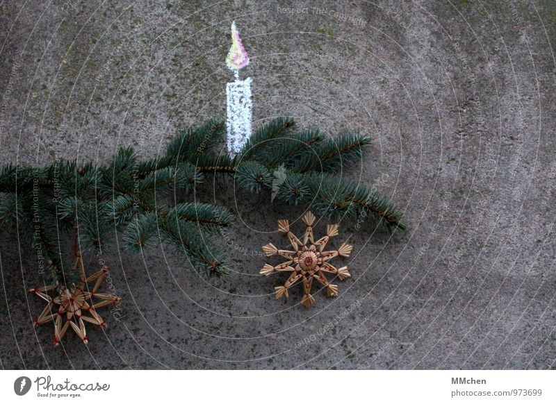 SternStunden Dekoration & Verzierung Feste & Feiern Weihnachten & Advent Pflanze Tannenzweig Zweig Ast Kerze Beton leuchten grau grün Geborgenheit Gelassenheit