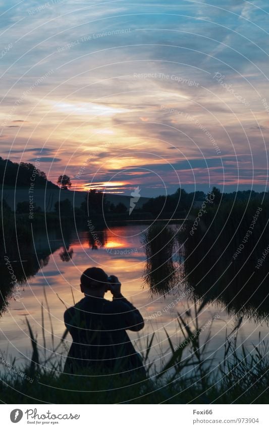 Abends am Teich maskulin Mann Erwachsene 1 Mensch 45-60 Jahre Landschaft Pflanze Tier Wasser Himmel Wolken Gewitterwolken Horizont Sonnenaufgang Sonnenuntergang