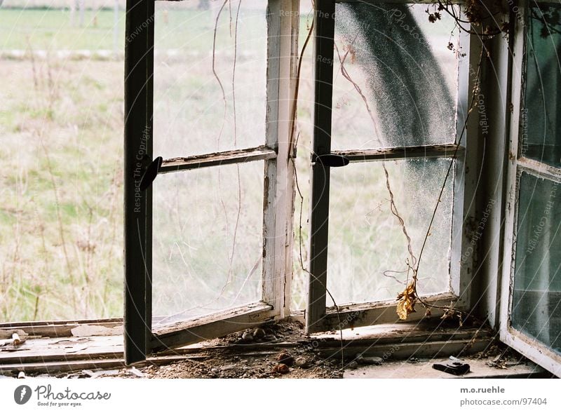 1000 windows Fenster Haus Einsamkeit Vergänglichkeit Verfall verfallen alte gebäude shrinking cities