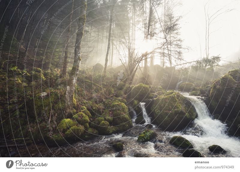 4 Elemente Ferien & Urlaub & Reisen Ausflug Berge u. Gebirge Umwelt Natur Landschaft Urelemente Luft Wasser Wolken Sonne Herbst Klima Wetter Nebel Pflanze Moos