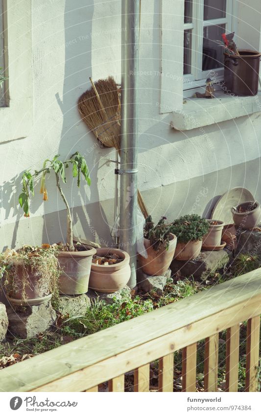 Kehrseite Freizeit & Hobby Häusliches Leben Wohnung Garten Schönes Wetter Topfpflanze Haus Einfamilienhaus Mauer Wand Fassade Fenster Fensterbrett Blumentopf