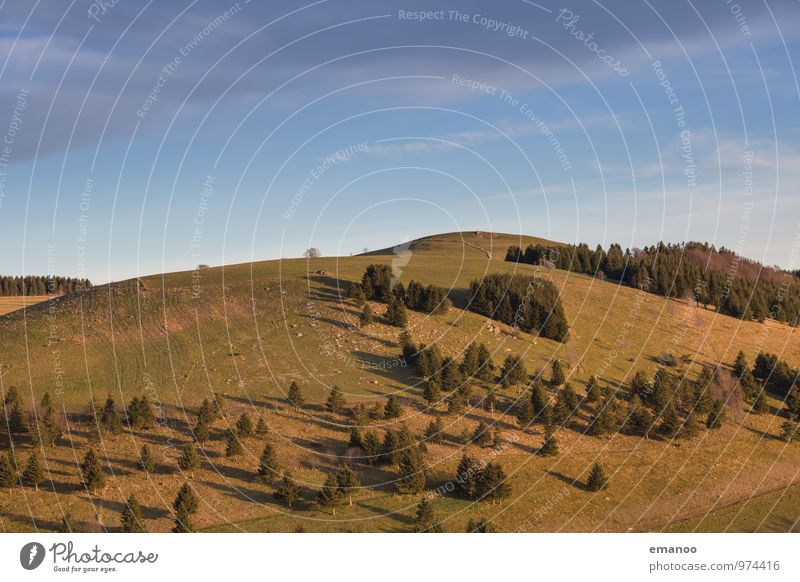 Schwarzwaldhügel Ferien & Urlaub & Reisen Tourismus Ausflug Ferne Freiheit Berge u. Gebirge wandern Umwelt Natur Landschaft Pflanze Himmel Herbst Wetter Baum