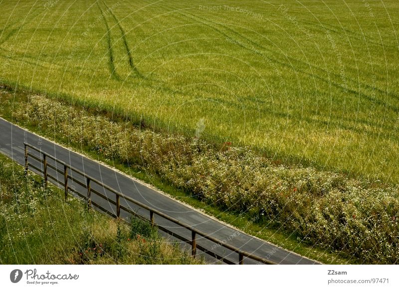 feld-weg Feld Fußweg Beton Holz grün Sommer Teer Natur Wege & Pfade Gras parallel Straße Geländer Baumstamm Ernte Korn Linie landscape