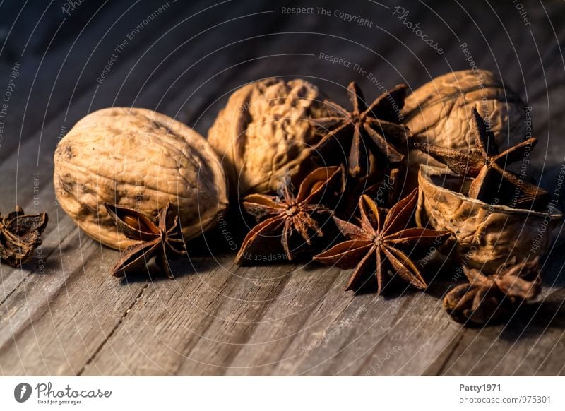 Sternanis und Walnüsse Lebensmittel Walnuss Nussschale Backzutaten Nüsse illicium verum Ernährung Weihnachten & Advent Duft lecker braun Stimmung Farbfoto