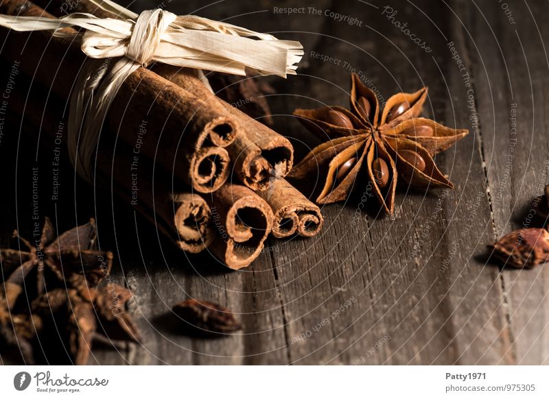 Zimt und Anis Lebensmittel Kräuter & Gewürze Sternanis Kaneel illicium verum Backzutaten Ernährung Weihnachten & Advent Duft exotisch braun Stimmung Stillleben