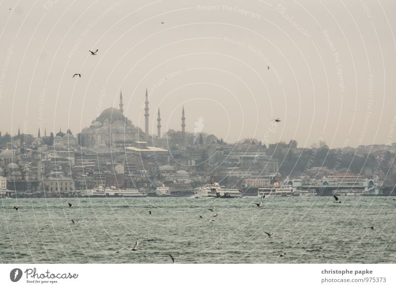 Reiseerinnerungen Ferien & Urlaub & Reisen Sightseeing Städtereise schlechtes Wetter Istanbul Türkei Stadt Hafenstadt Stadtzentrum Skyline Kirche