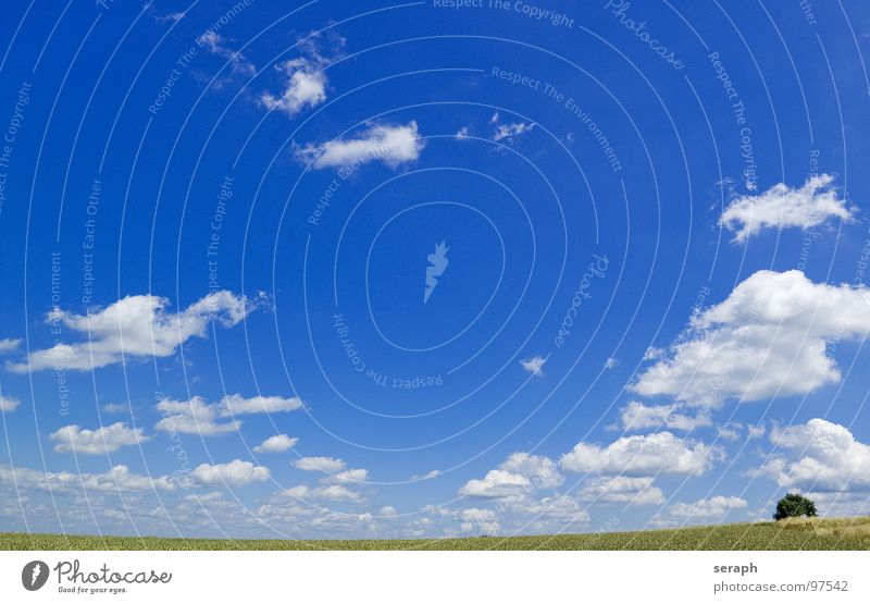 Landschaft Hintergrundbild Ackerbau Feld Wiese Himmel Wolken Rasen Natur Freiheit Ferne Getreide Landwirtschaft Horizont minimalistisch Baum natürlich ländlich