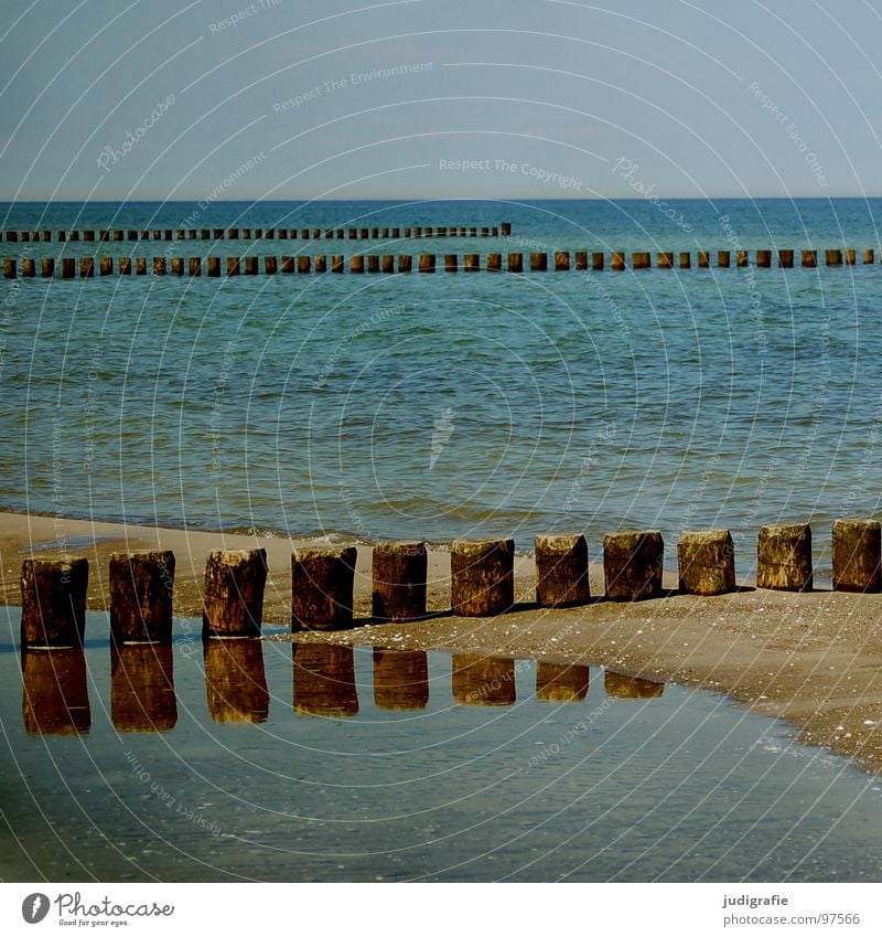 Küste Meer ruhig leer Kühlung Ferien & Urlaub & Reisen kalt Holz Buhne nass grün Horizont Strand salzig Reflexion & Spiegelung Farbe Wasser Ostsee Pfosten