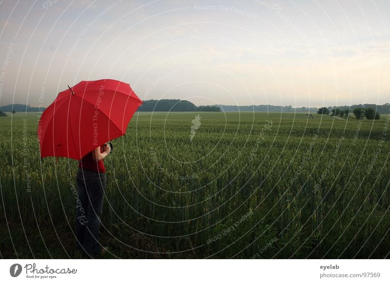 Gibt's im Juni Donnerwetter, wird auch das Getreide fetter. Feld Sonnenschirm Regenschirm rot grün Frühling Sommer stehen genießen Landleben Romantik lieblich