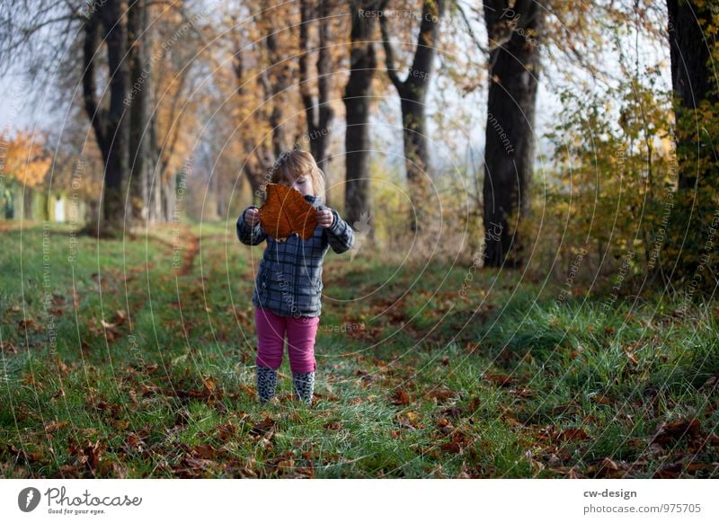 Kleines Mädchen Natur Herbst Kind Kindheit Farbfoto