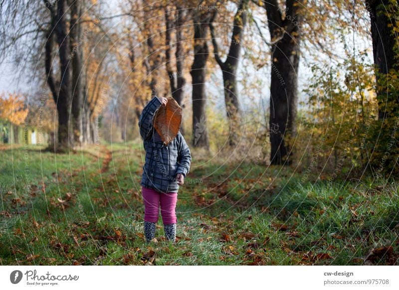 Kleines Mädchen Natur Herbst Waldweg Bäume Spaziergang