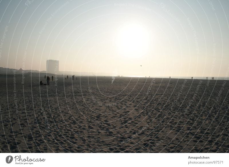 goldener Himmel Freude Erholung Spielen Ferien & Urlaub & Reisen Ausflug Sonne Strand Meer Freundschaft Menschengruppe Sand Wasser Horizont Nebel gehen laufen