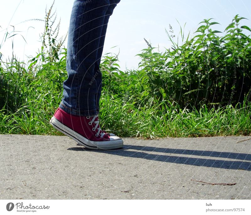 Wenn ich mal groß bin... Asphalt grau grün Halm Wiese Chucks rot Schuhe Schuhbänder Zehenspitze Froschperspektive Hardcore Jugendliche Straße Rasen grey