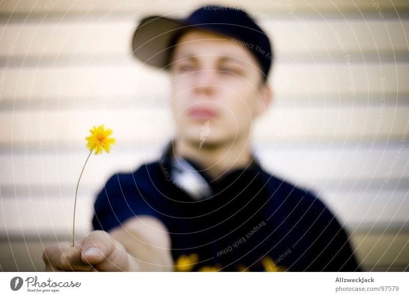 Hier, für Dich. Valentinstag Blume gelb Pflanze Grünpflanze Blüte tollpatschig verkrampft Baseballmütze Mann Mütze Zuneigung gepflückt süß Freundlichkeit mögen