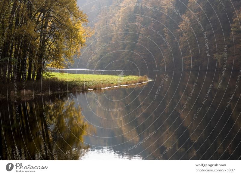 Herbst am Fluss Freizeit & Hobby Ausflug Berge u. Gebirge Natur Wasser Sonne Schönes Wetter Baum Gras Sträucher Wald Hügel Küste Flussufer Menschenleer