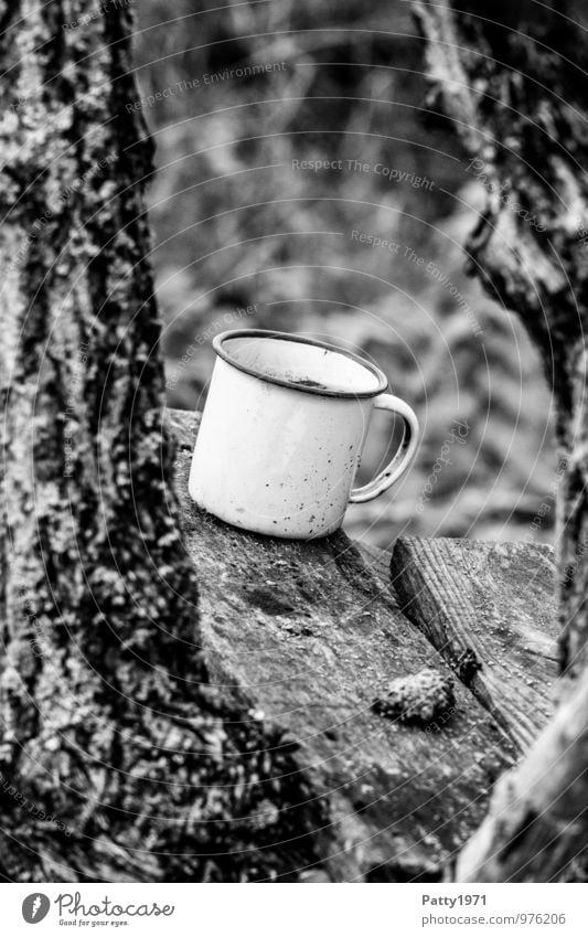 Emaillebecher Tasse Becher Pflanze Baum Baumrinde Borke Blechtasse Blechbecher Holzbrett alt dreckig Einsamkeit vergessen Verfall Vergänglichkeit