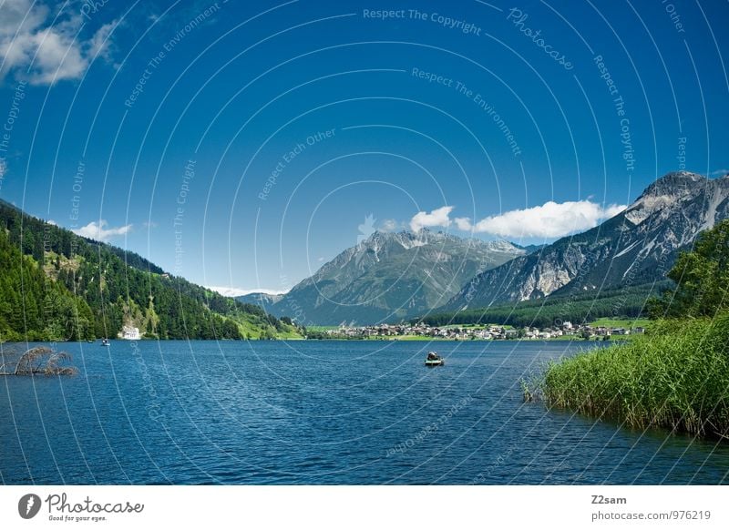 Reschensee Natur Landschaft Himmel Sommer Schönes Wetter Baum Sträucher Hügel Felsen Alpen Berge u. Gebirge Gipfel Seeufer frisch nachhaltig natürlich blau grün