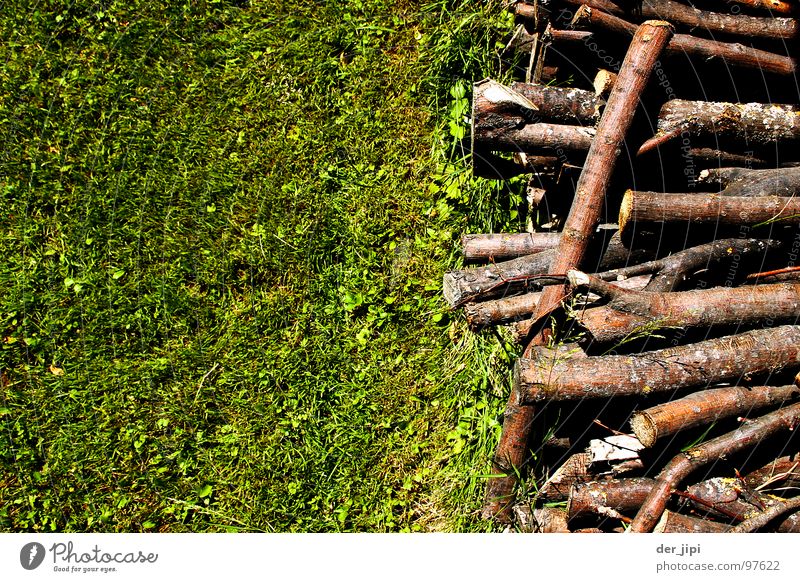 Hol's Holz! Wiese Stapel aufgereiht Gras Brennholz grün braun Brennstoff heiß Physik Baum durcheinander Am Rand Feuerstelle liegen Reihe scheit Brand Wärme