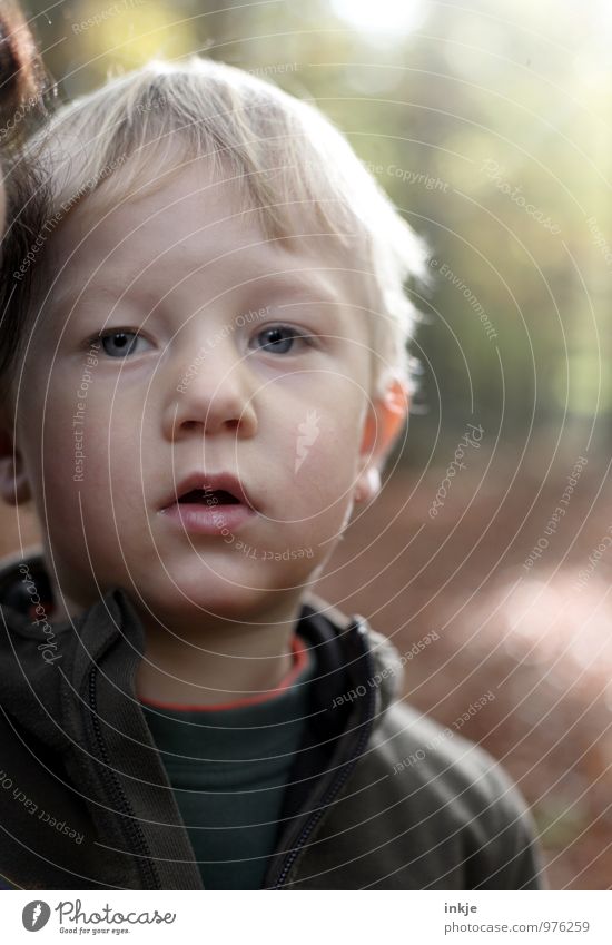 * Freizeit & Hobby Ausflug Waldspaziergang Kleinkind Junge Kindheit Leben Gesicht 1 Mensch 1-3 Jahre Natur Herbst Schönes Wetter Park blond Blick Gefühle