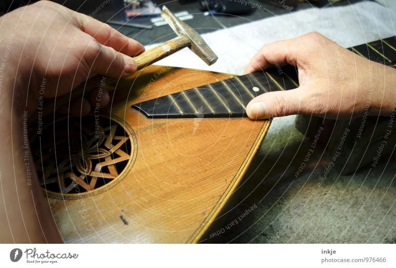 Laute Arbeit & Erwerbstätigkeit Beruf Handwerker Instrumentenbau Werkstatt Hammer Erwachsene Leben 1 Mensch Mandoline alt Kreativität Präzision Reparatur