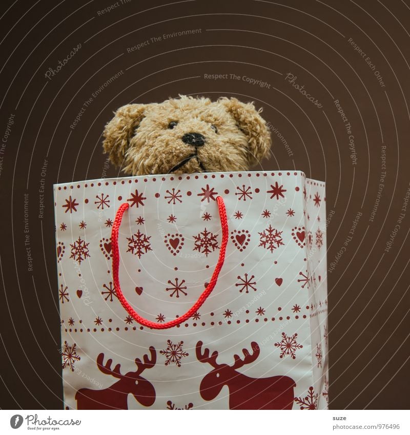 Superheld Lifestyle kaufen Freude Freizeit & Hobby Dekoration & Verzierung Feste & Feiern Weihnachten & Advent Teddybär Stofftiere Verpackung