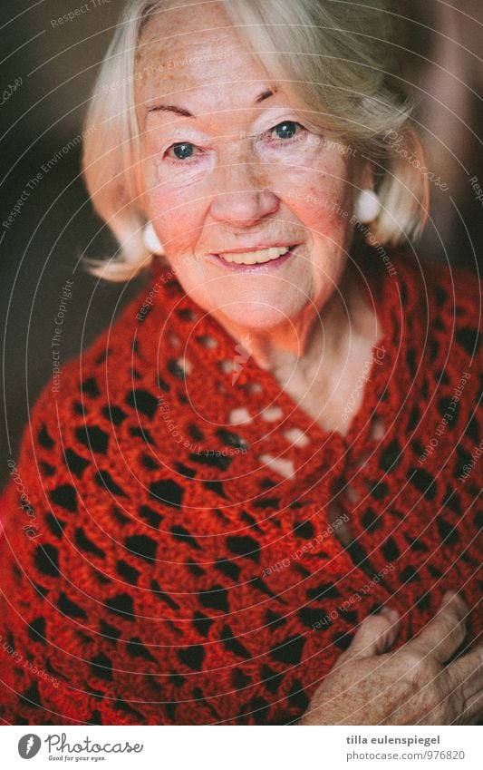 77 feminin Weiblicher Senior Frau Großmutter 1 Mensch 60 und älter Strickpullover blond weißhaarig alt Blick Freundlichkeit Fröhlichkeit schön rot Zufriedenheit