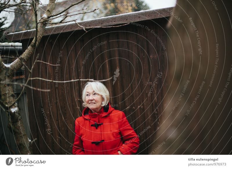 Lady in red Ausflug feminin Weiblicher Senior Frau Großmutter Leben 1 Mensch 60 und älter Winter schlechtes Wetter Eis Frost Baum Sträucher beobachten Blick