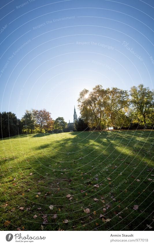 Der Kreuzberg - Völkerschlachtdenkmal Lifestyle Natur Landschaft Wolkenloser Himmel Sonne Frühling Sommer Schönes Wetter Baum Park Wiese Berlin Bauwerk