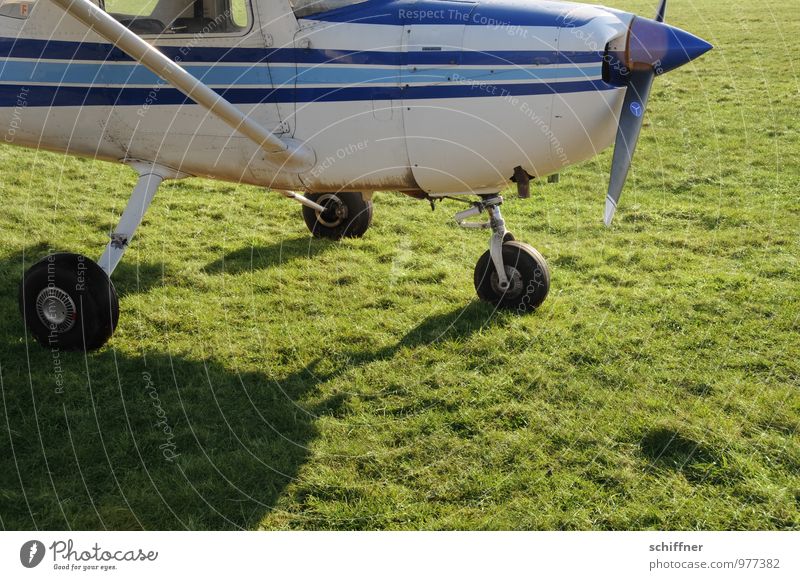 Alle Räder dran? Kann losgehn! Maschine Luftverkehr Flugzeug Sportflugzeug Fluggerät Flugplatz fliegen grün Wiese Flugangst Flugzeugfenster Propeller