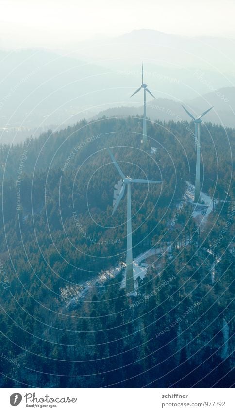 Dreiklang Technik & Technologie Energiewirtschaft Erneuerbare Energie Windkraftanlage Umwelt Natur Landschaft Klima Schönes Wetter Pflanze Baum Wald Hügel