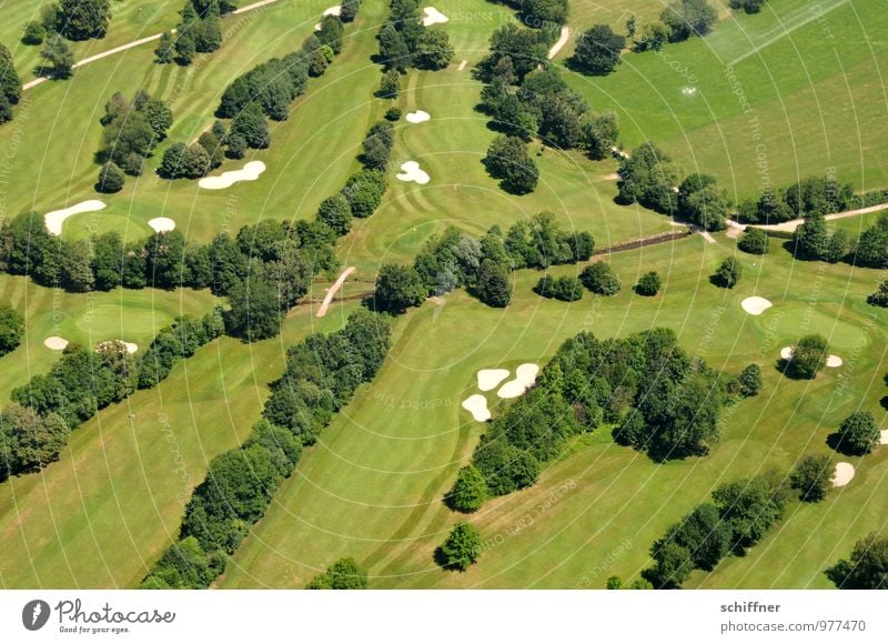 Außergewöhnlich | fleckig Landschaft Pflanze Baum Garten Park Wiese grün Golf Golfplatz Baumreihe Rasen Sportrasen Sand Sandbank Straße Wege & Pfade