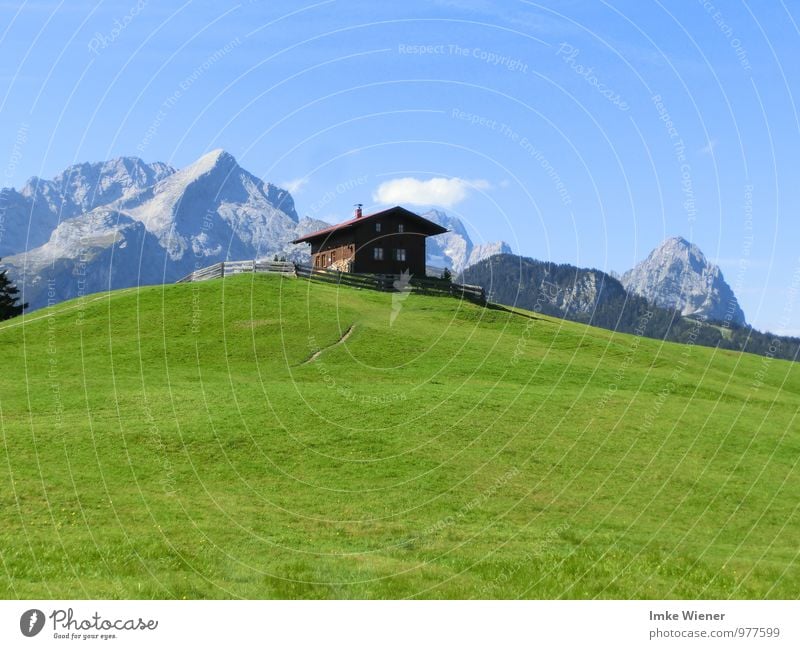 Bei Heidi auf der Alm ruhig Ferien & Urlaub & Reisen Ausflug Sommerurlaub Sonne Berge u. Gebirge wandern Bergurlaub Natur Landschaft Pflanze Tier Himmel Wolken