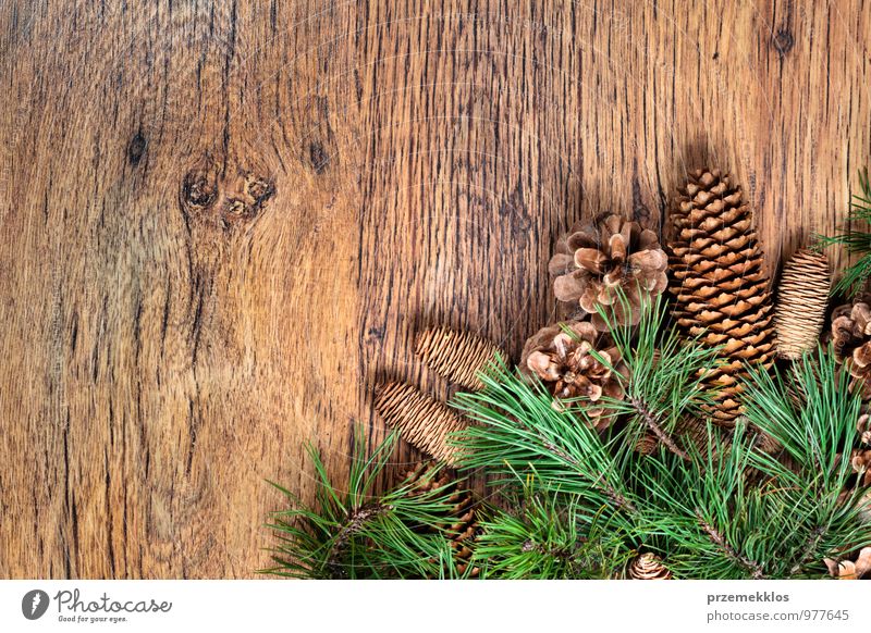 Weihnachtsdekoration Dekoration & Verzierung Holz Ornament authentisch natürlich grün Tradition Textfreiraum Dezember horizontal Kiefer rustikal Jahreszeiten