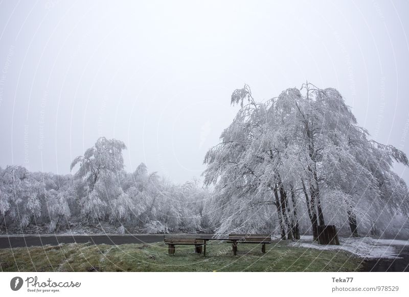 Eispaläste Umwelt Natur Klima Klimawandel schlechtes Wetter Frost Hagel Schnee Schneefall Wald Abenteuer Aggression bizarr Einsamkeit einzigartig Giller Lützel