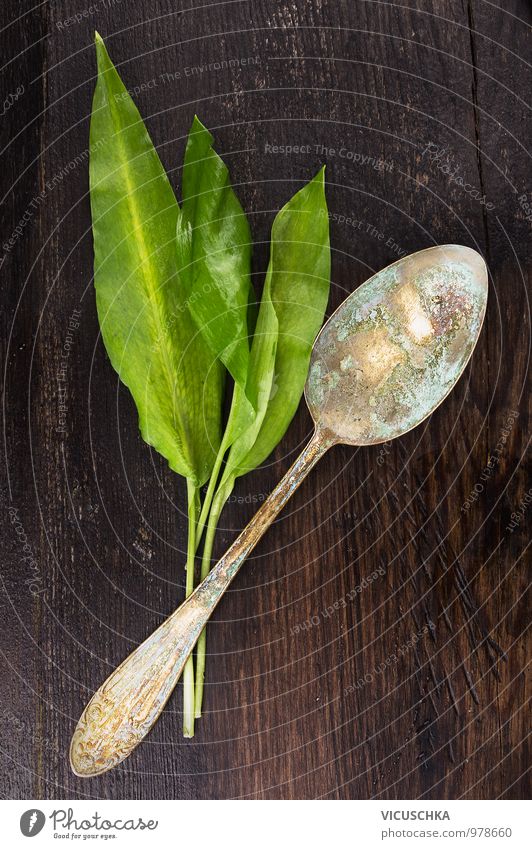 Bärlauchblätter und alter Löffel auf dunklen Holztisch Lebensmittel Salat Salatbeilage Kräuter & Gewürze Ernährung Bioprodukte Vegetarische Ernährung Diät Stil