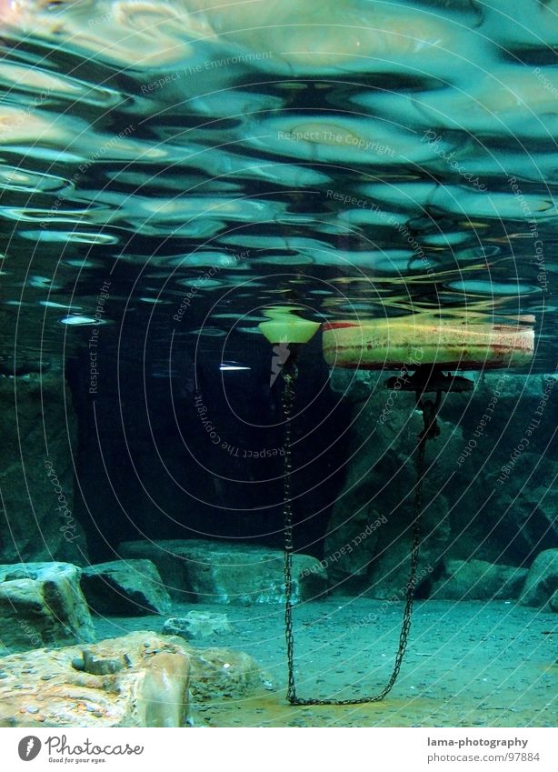 Under the sea II Schifffahrt Unterwasseraufnahme Boje Wasserfahrzeug Meer See Marine Seezeichen Fass Gewässer Fahrwasser Leuchtturm Im Wasser treiben