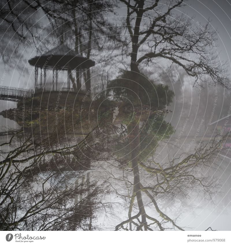 Pavillon im See Tourismus Ausflug Sightseeing Natur Landschaft Wasser Herbst Winter Klima Wetter schlechtes Wetter Nebel Baum Park Wald Küste Teich Haus Brücke