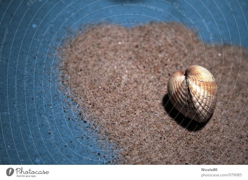 Herz - Muschel - Herz Ostsee Wärme Muschelschale Herzmuschel Sand blau Strandgut Urlaubserinnerungen Ferien & Urlaub & Reisen Farbfoto Innenaufnahme